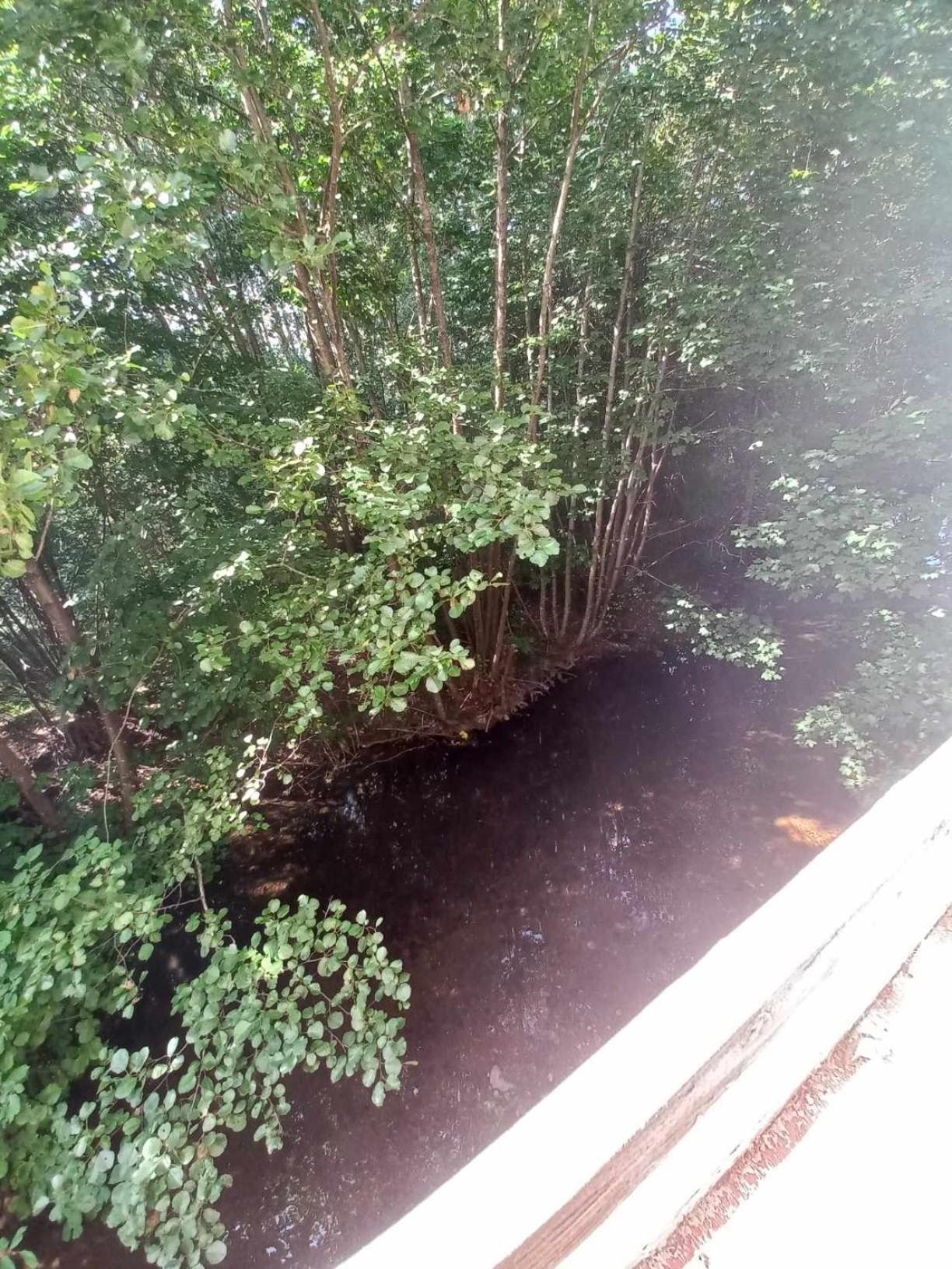 Gite De L'Ours Saint-Maurice-sur-Moselle Εξωτερικό φωτογραφία