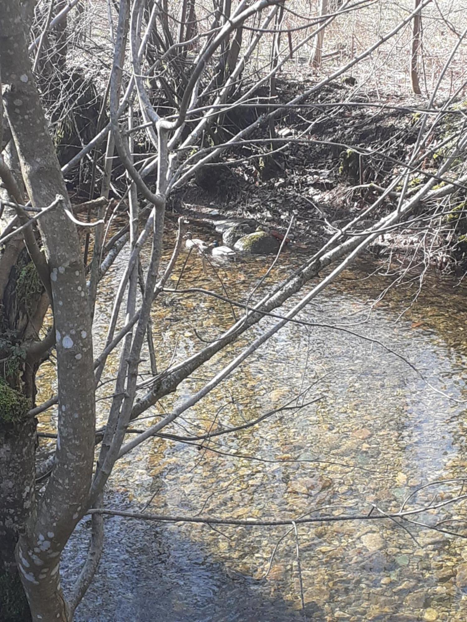 Gite De L'Ours Saint-Maurice-sur-Moselle Εξωτερικό φωτογραφία