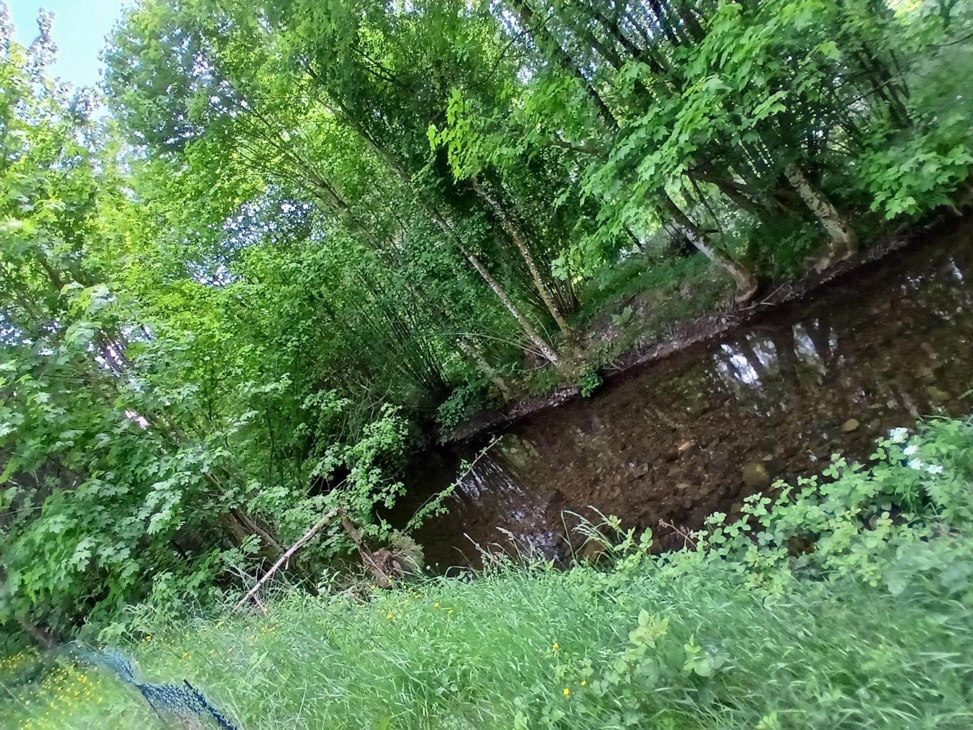 Gite De L'Ours Saint-Maurice-sur-Moselle Εξωτερικό φωτογραφία