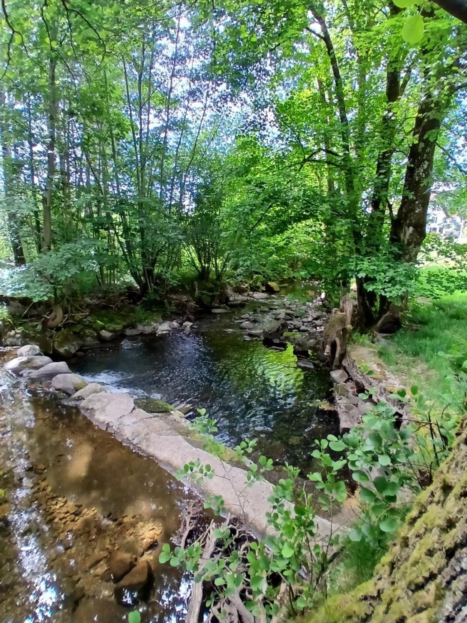Gite De L'Ours Saint-Maurice-sur-Moselle Εξωτερικό φωτογραφία