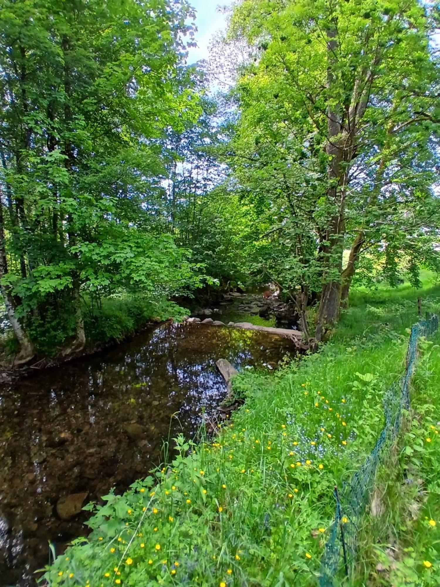 Gite De L'Ours Saint-Maurice-sur-Moselle Εξωτερικό φωτογραφία